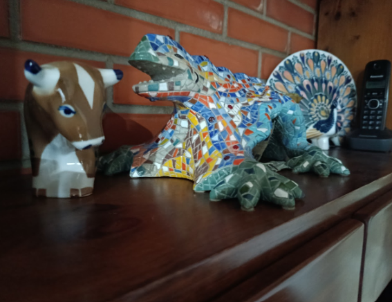 La raó i l'emoció